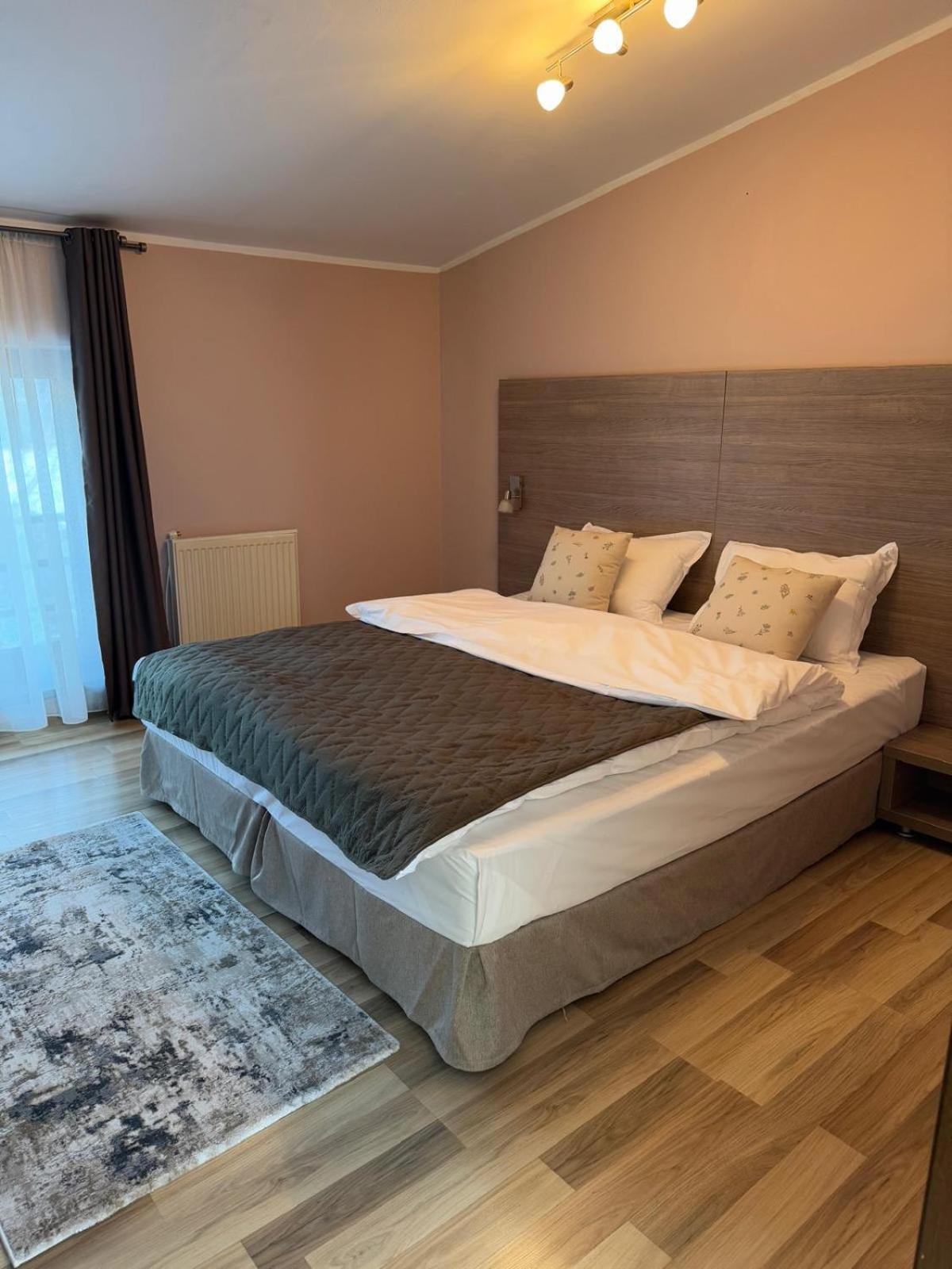 Studio Apartcity Брашов Екстер'єр фото