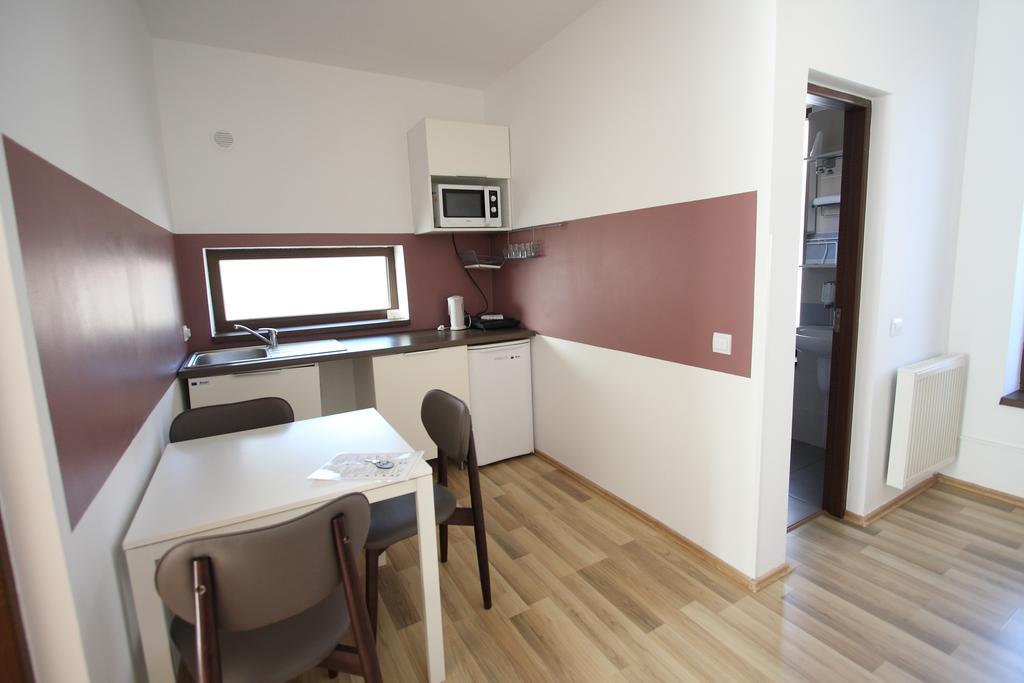 Studio Apartcity Брашов Екстер'єр фото