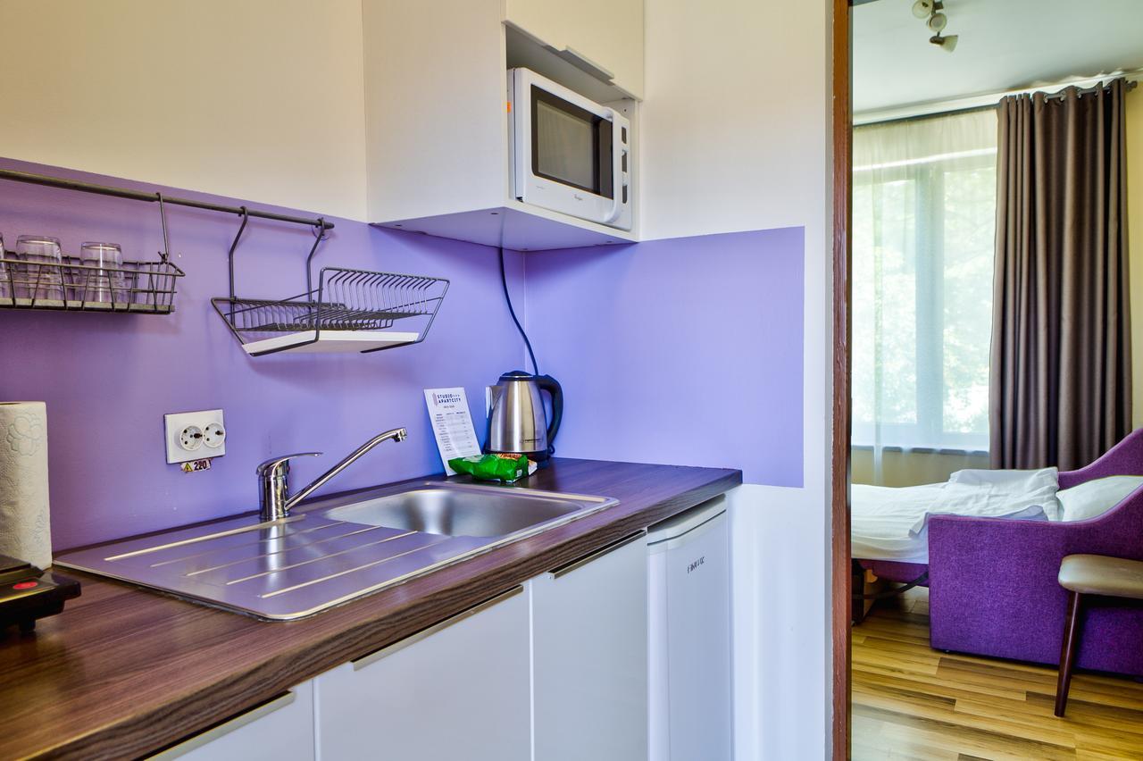 Studio Apartcity Брашов Екстер'єр фото